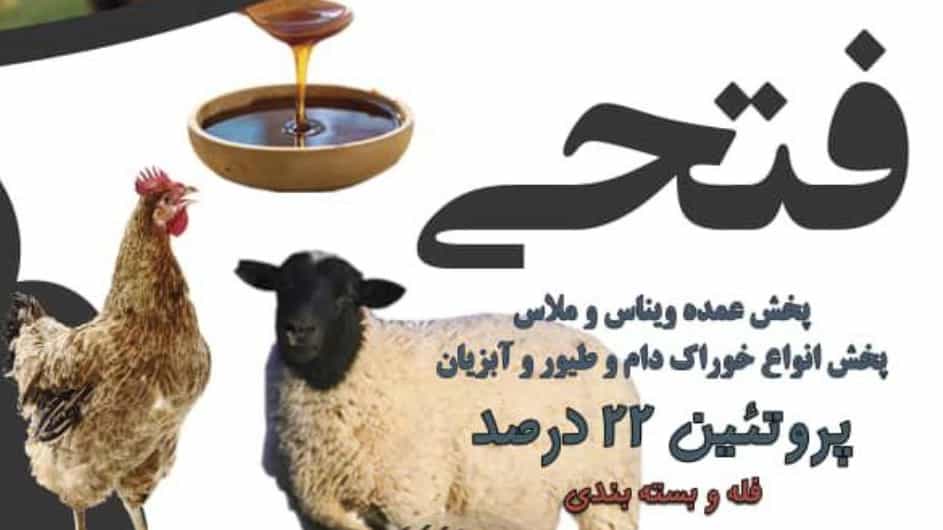 فروش خوراک گاو در قزوین با ملاس و ویناس تازه