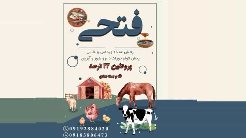 خرید خوراک مرغ با ملاس و ویناس در قزوین