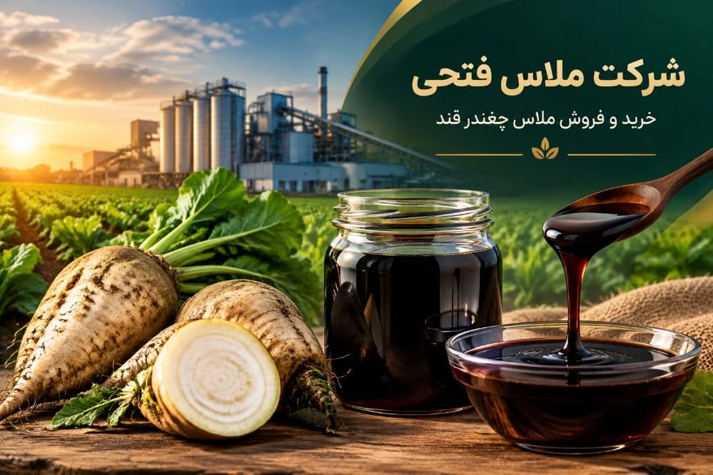سبد محصولات تخصصی بازرگانی فتحی