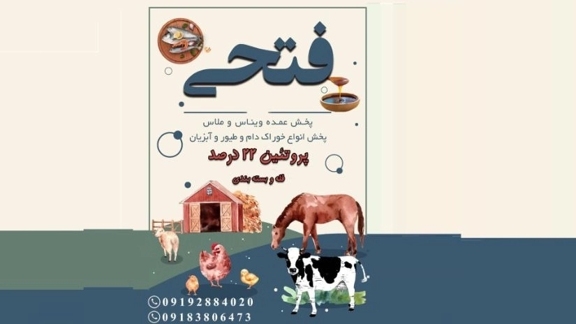 Buy chicken feed with Mellas and Vinas in Qazvin Buy chicken feed with Mellas and Vinas in Qazvin